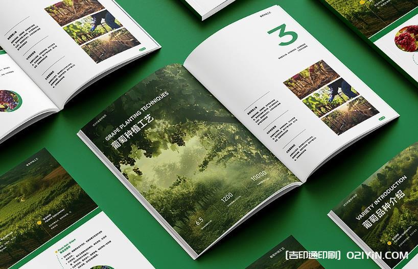 上海產(chǎn)品畫冊印刷避坑指南：文件規(guī)范、工期把控與質(zhì)量驗(yàn)收要點(diǎn)