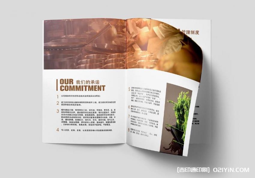 餐飲行業(yè)畫冊印刷  第2張