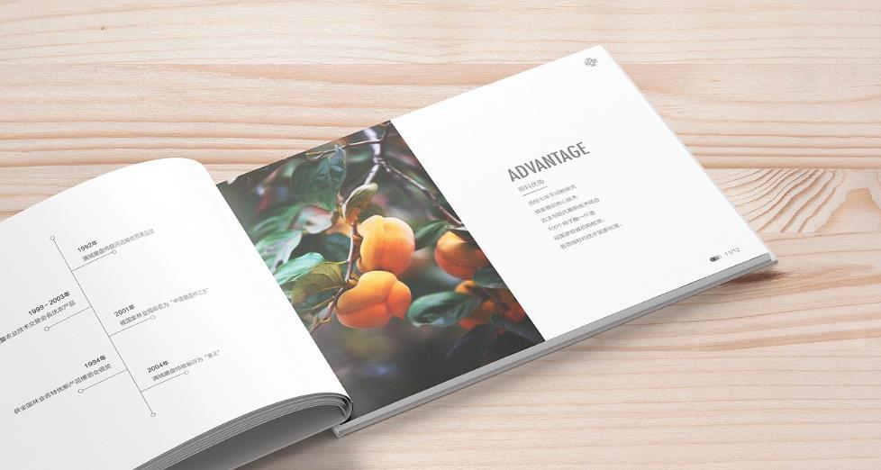 上海黃浦區(qū)畫冊印刷的設(shè)計需求有哪些？