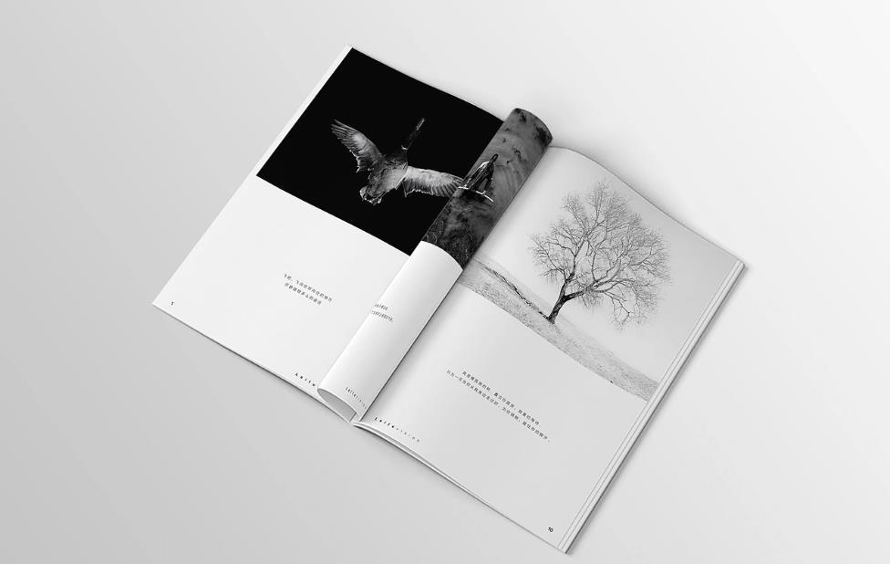 細(xì)節(jié)決定成?。荷虾Ｐ弯洰媰?cè)印刷中不容忽視的裝訂工藝