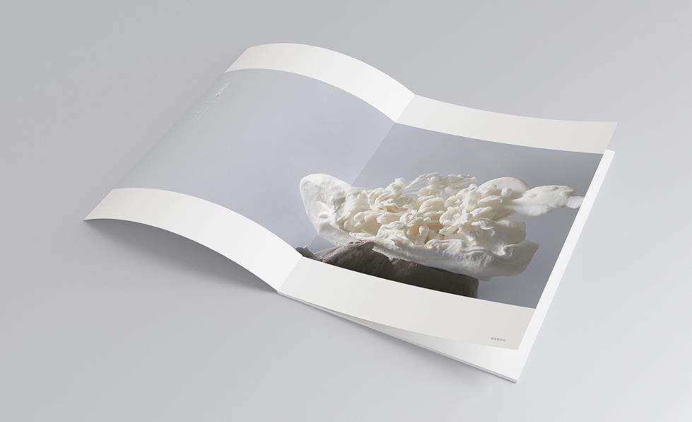 彩頁(yè)印刷常規(guī)尺寸有哪些？